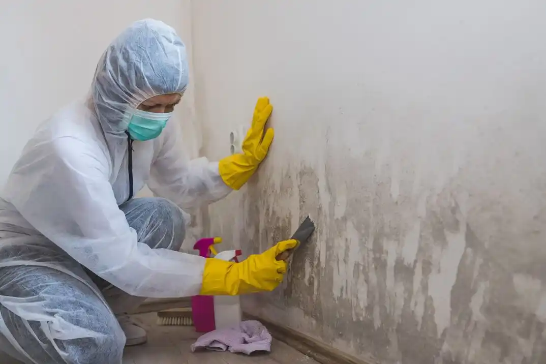 water damage restoration service Strupwood